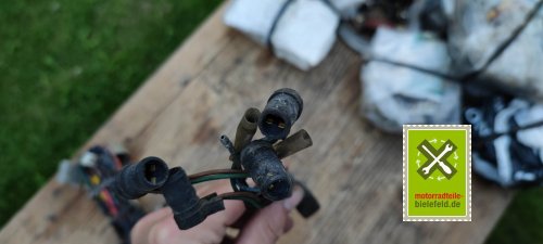 IMG_20230915_190549